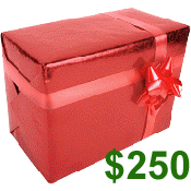 $250.00 ATS Gift Certificate